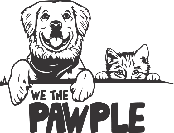 The About us page shares information about the offerings of We The Pawple for health and long life of pets.