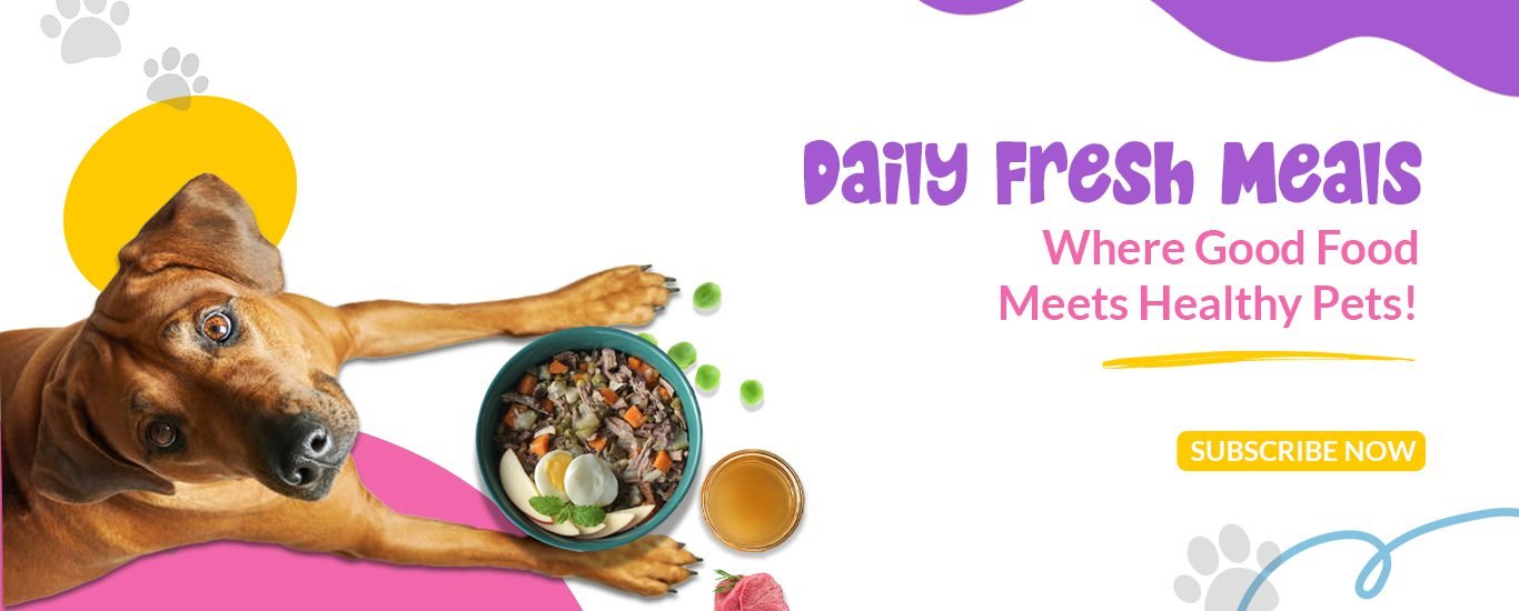 Daily Fresh Meals for dogs, made with natural ingredients for optimal nutrition.