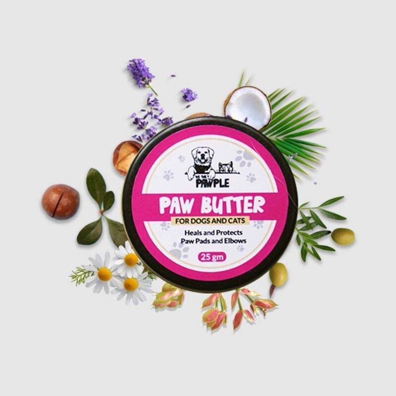 Paw Butter for dogs and cats helps in protecting and hydrating paws and elbows