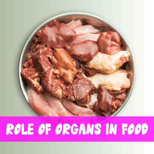 Organs like liver, heart, gizzard must be added to dog's diet