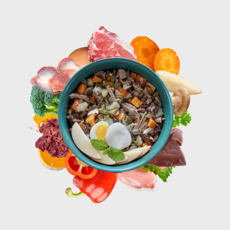 Daily Fresh Meal bowl for dogs